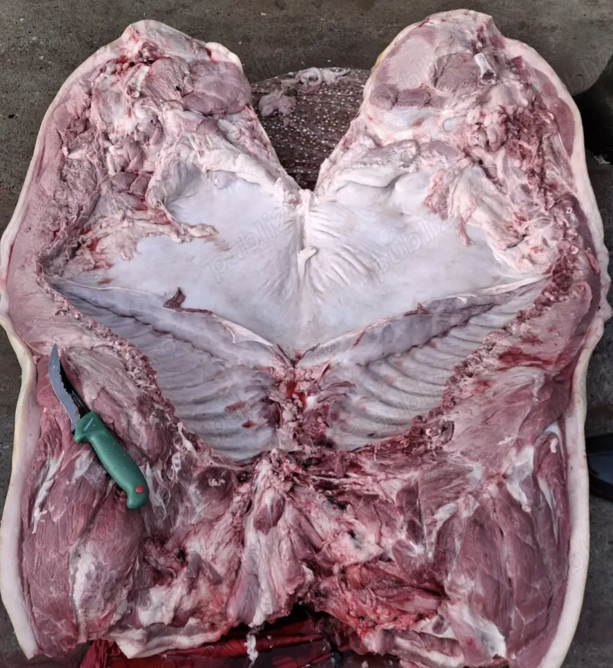 Carcasa porc 20 lei