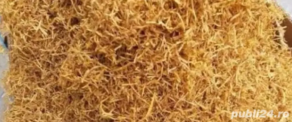 Tutun firicel virginia si burlei