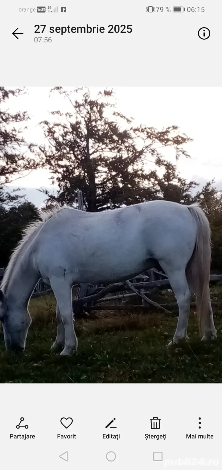 Vind cal ptru abator 