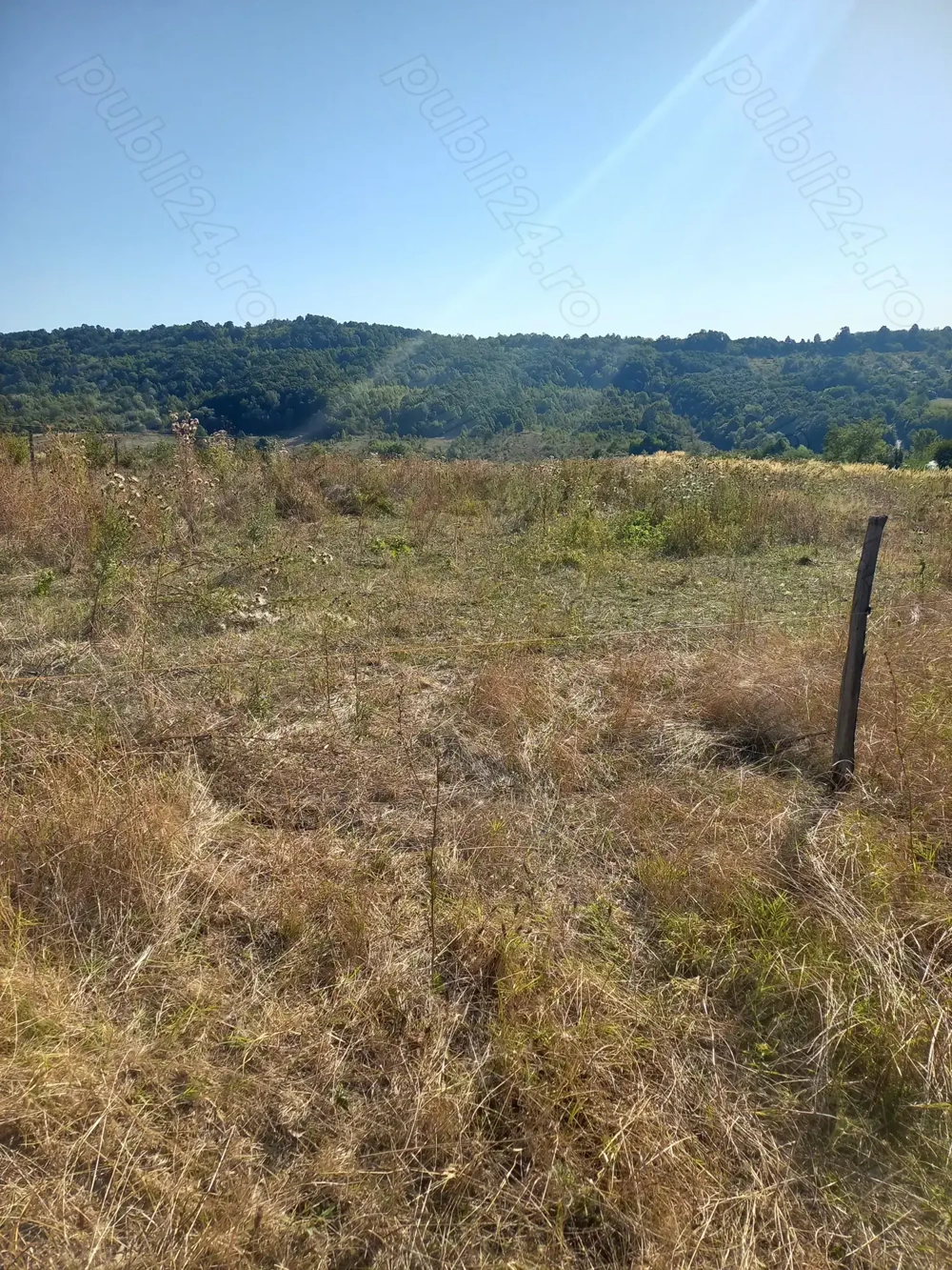 Vând 8 hectare teren extravilan!