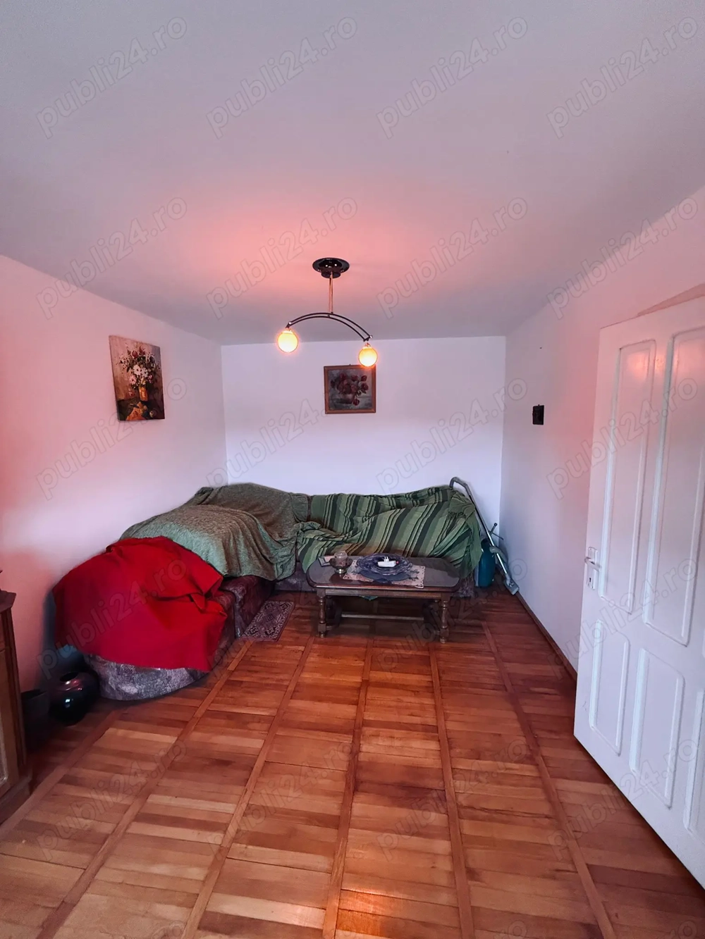  De vânzare   Garsonieră ULTRA-CENTRALĂ în Geoagiu-Băi! 