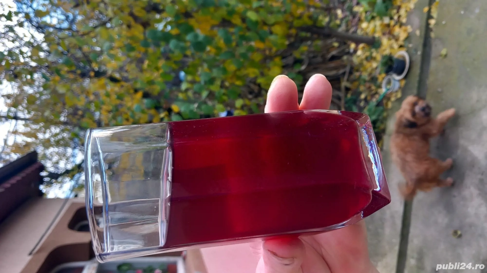 Vin de vânzare 