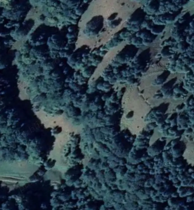 Vând teren 10ha Rusca, Dragomirești, Maramures