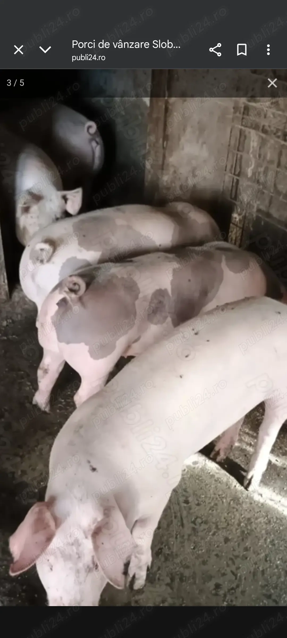 Pentru masa de Crăciun 