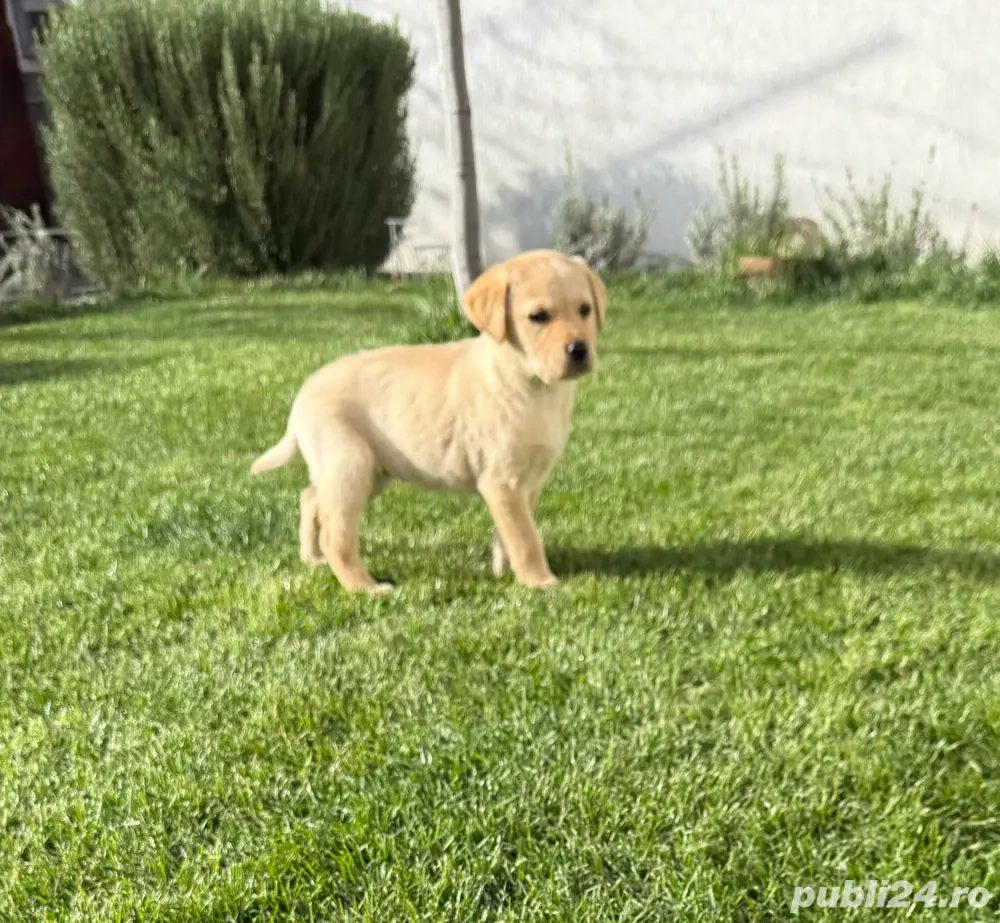 Cel mai frumos cadou de Moș Craciun pt copii!!!