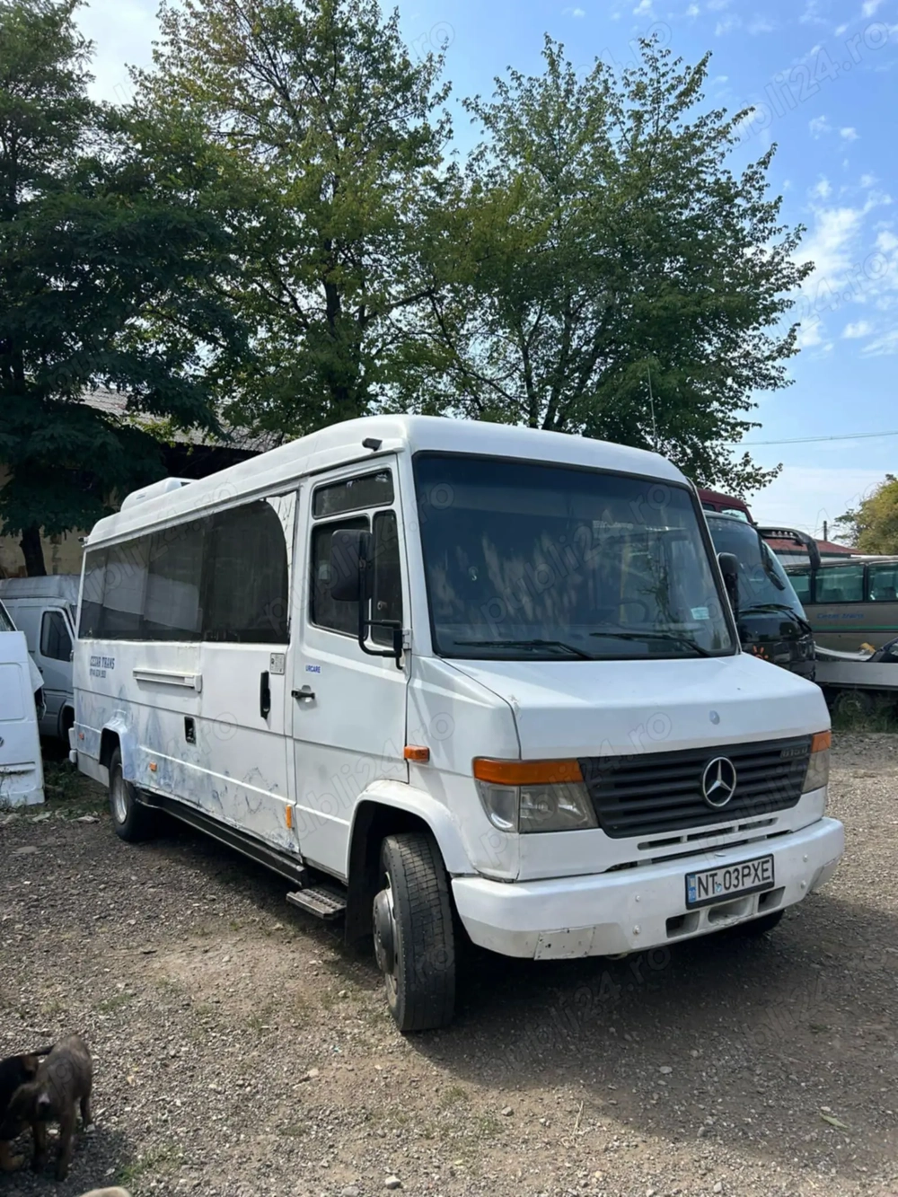 vand microbuz vario 815