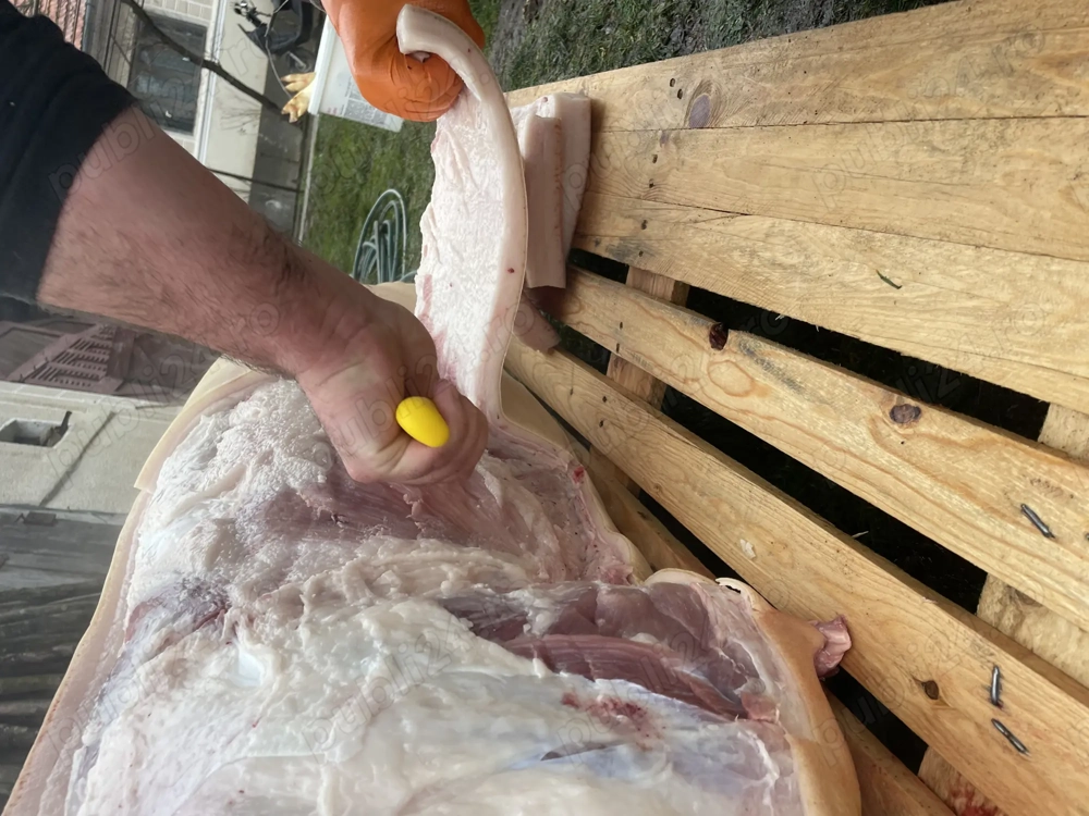 Porc pentru sacrificat