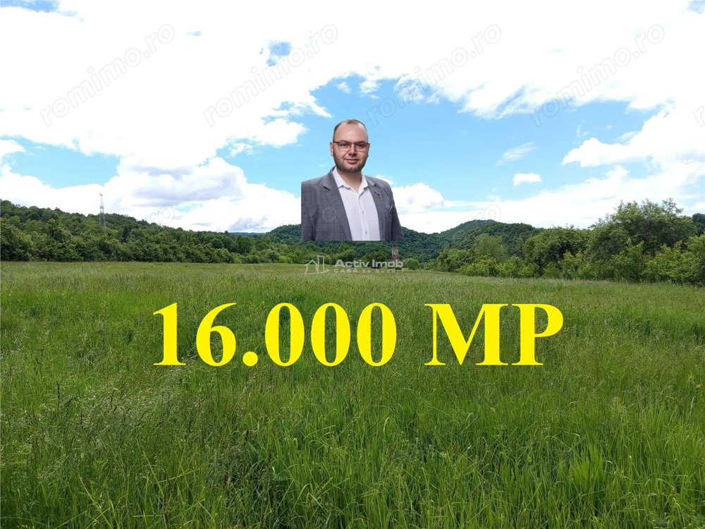 Borlovenii Noi, Teren Drept, 16000mp, la Limita Localitatii