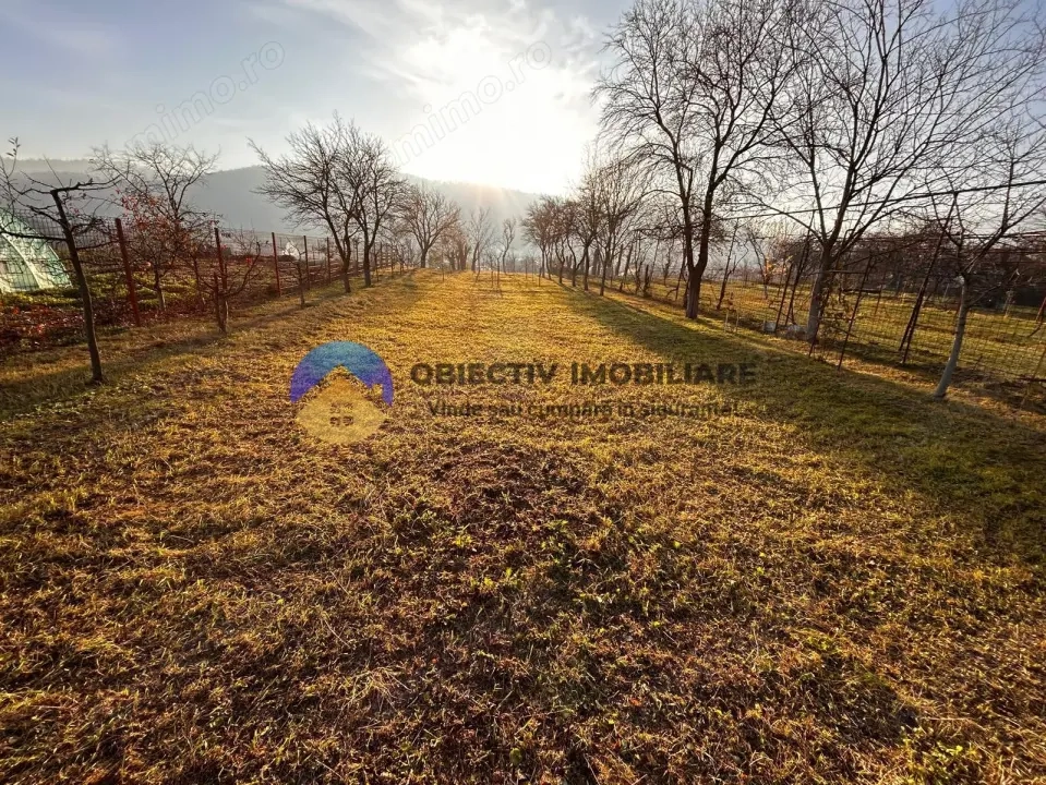 Teren de Vânzare – 1172 mp – Dumbrava Roșie, Neamț