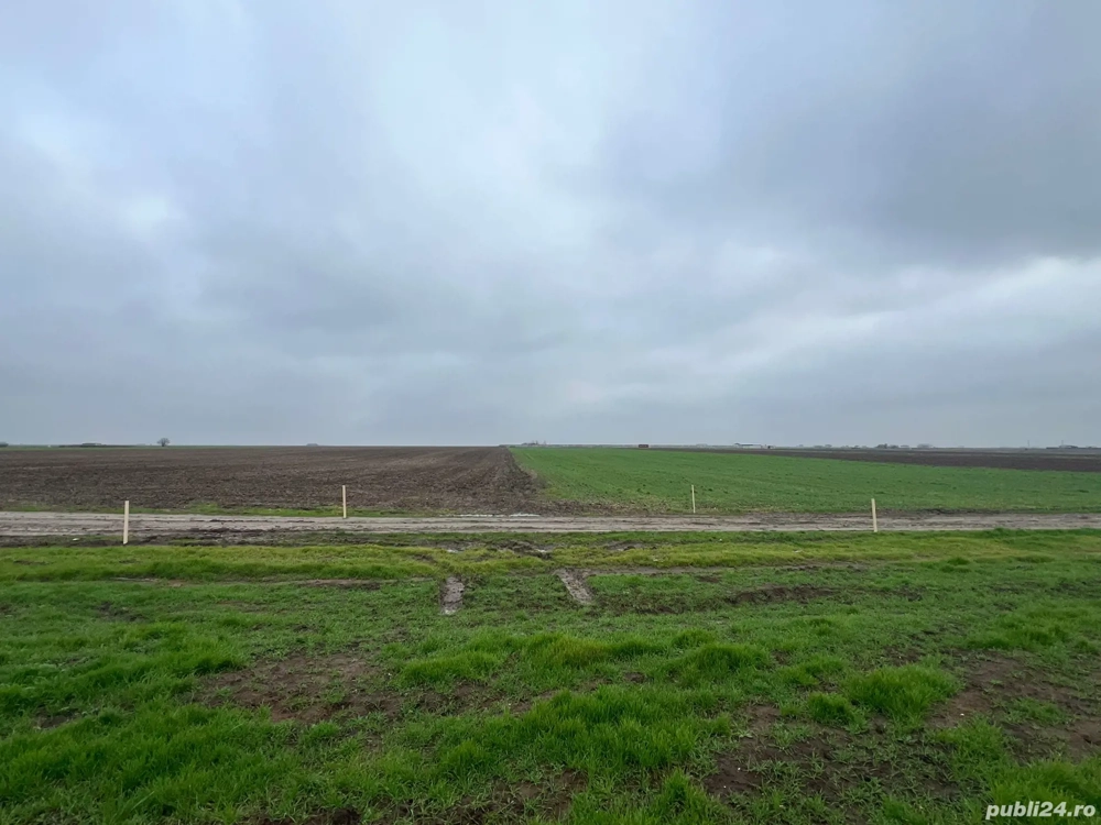 proprietar vand 5 loturi teren intravilan comuna Berceni 