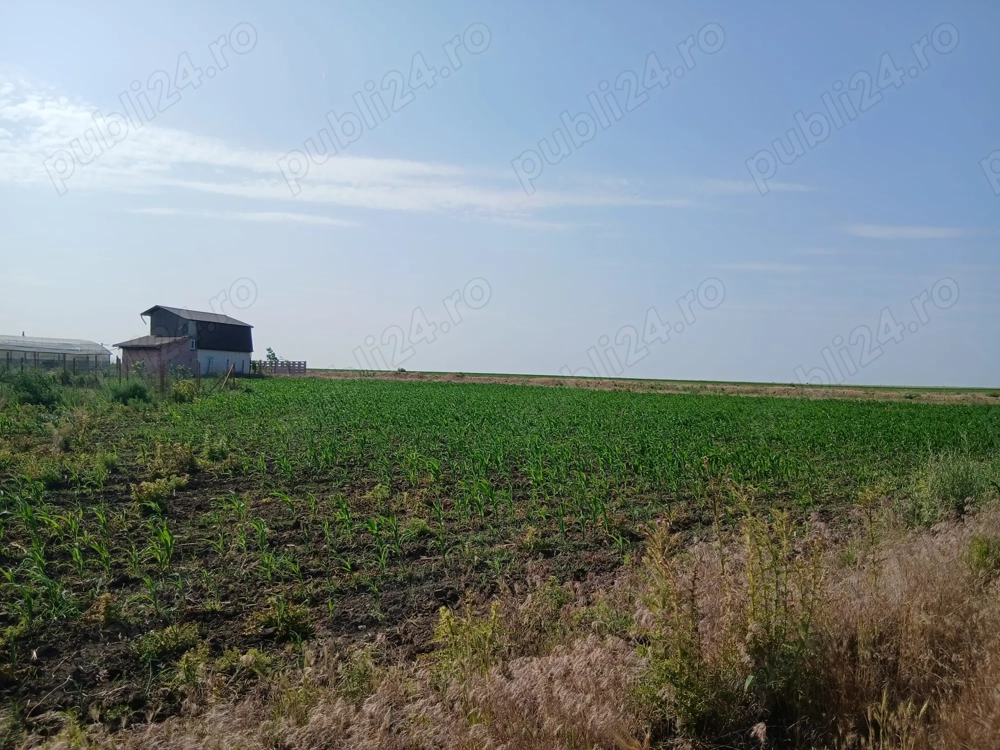 Teren Intravilan la mare, langa statiunea Nibiru