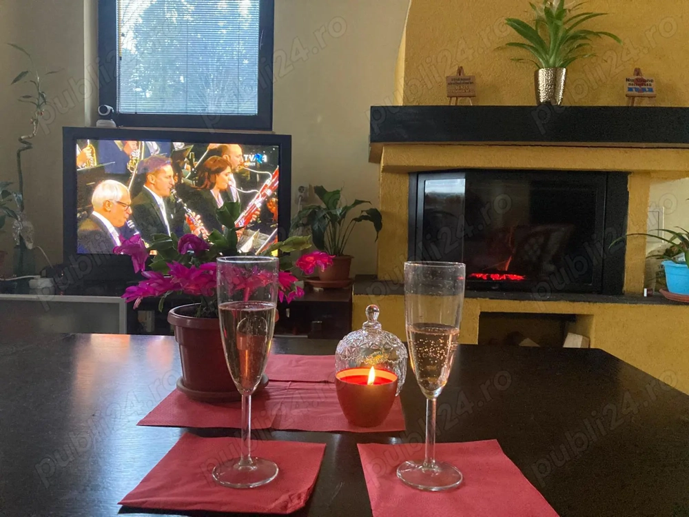 Proprietar vand vila Busteni