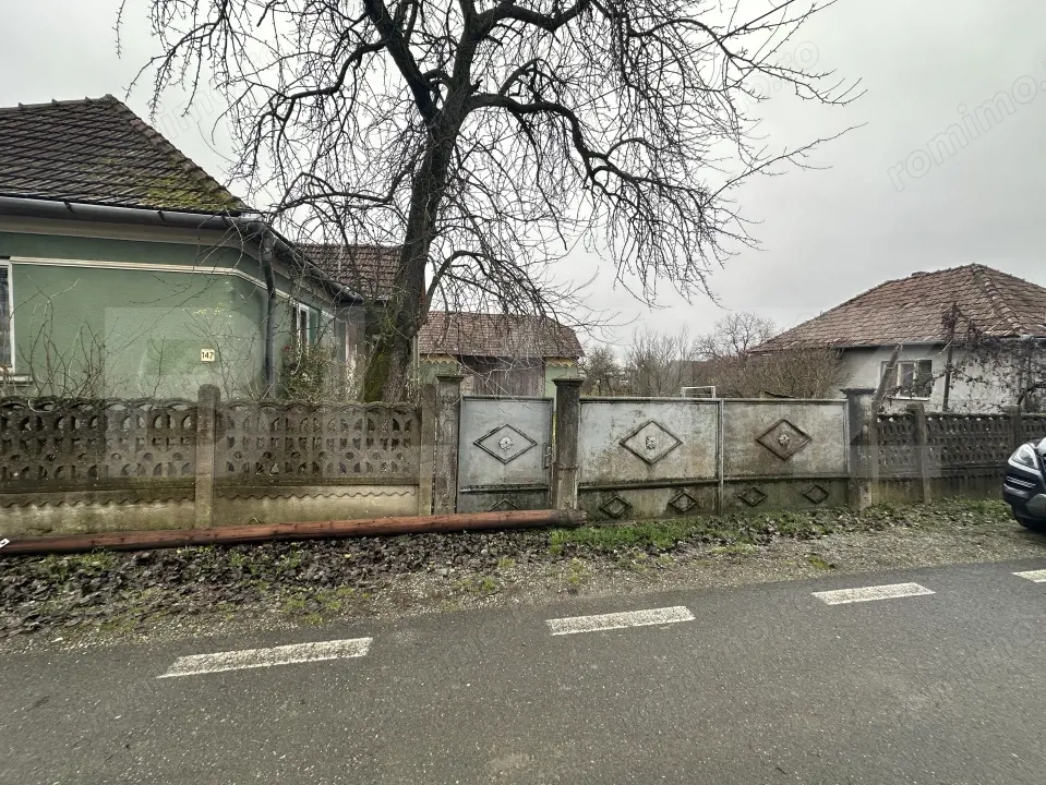 Teren 3000 mp + 2 case de vânzare-Cășeiu