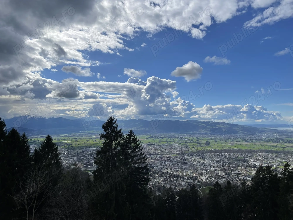 Locuri de munca   Multi-level Marketing 