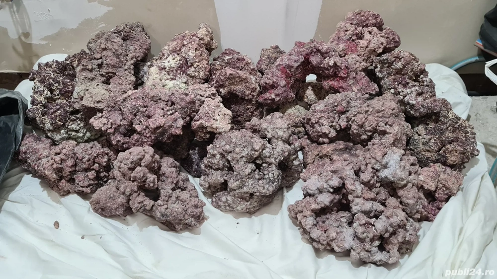 Rocă piatră marină pentru acvariu