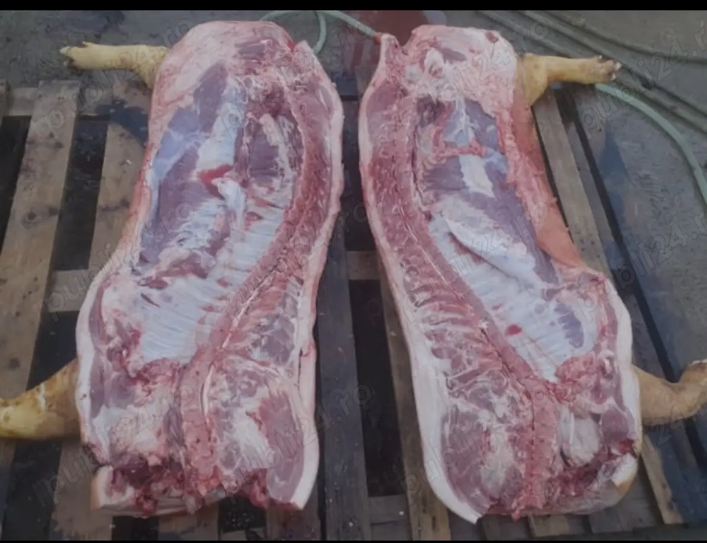 Vând carcasă porc 