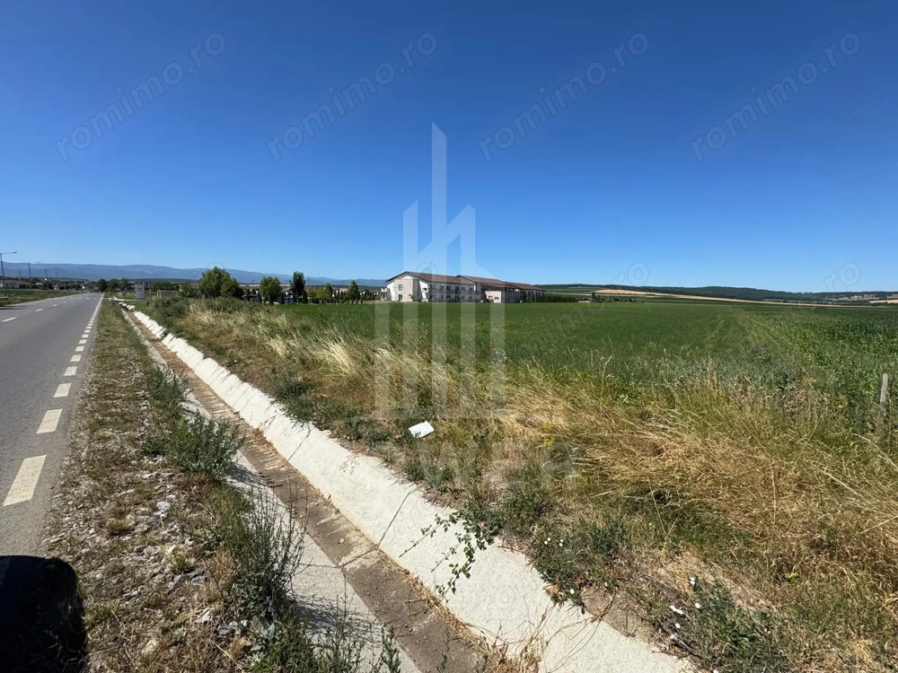  Teren 10.000 mp, Șura Mică – Ocna Sibiului | Investiție, COMISION 0%