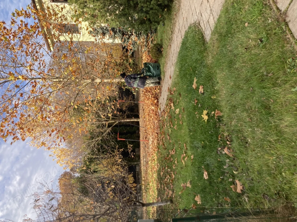 Angajam muncitori in agricultura 