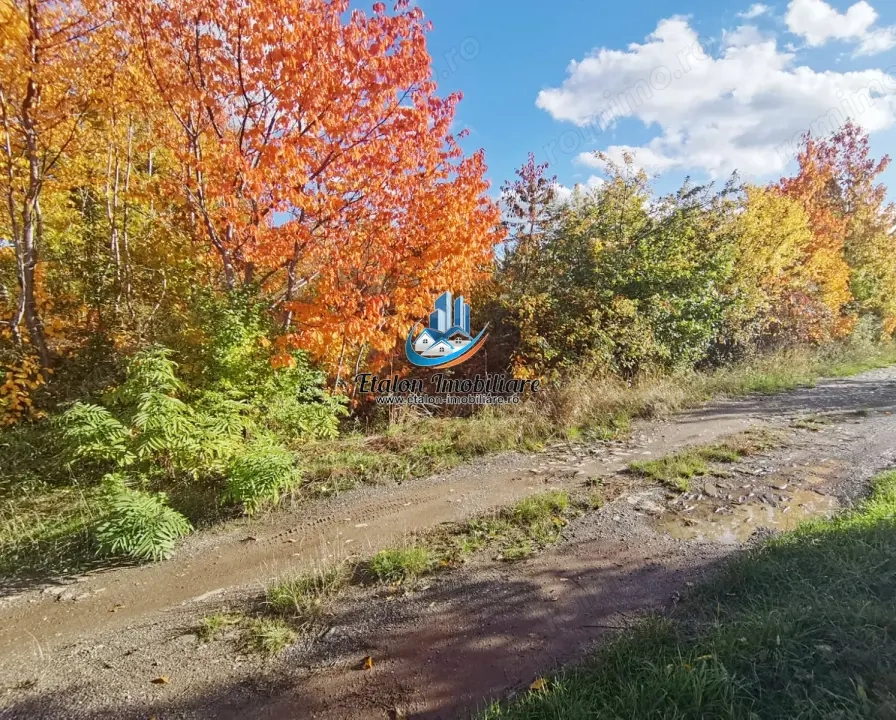 Teren 900 mp Strada Ciocarliei CIRITEI, Piatra Neamt