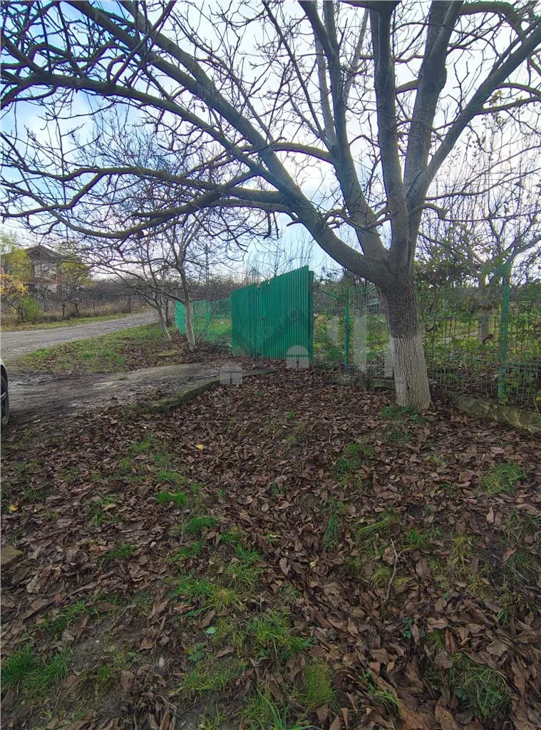 Teren intravilan 750mp Bucium - Trecatoarea Paun