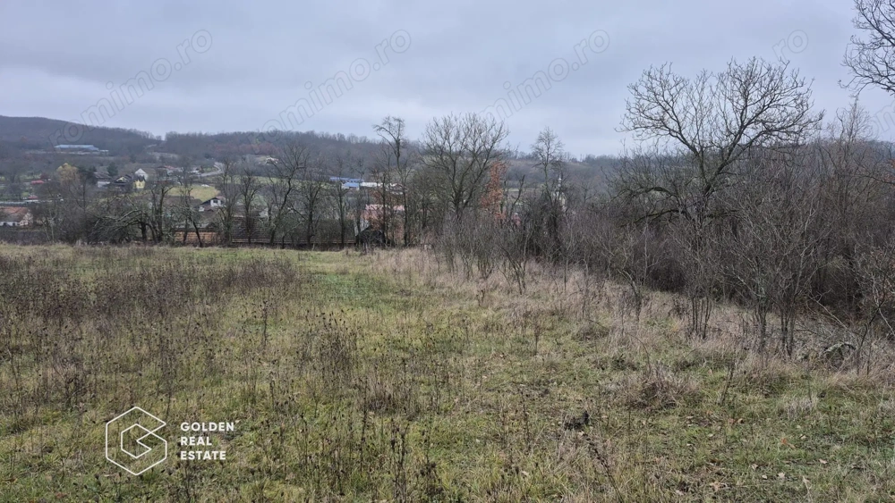 Teren intravilan, 2880 mp, comuna Sistarovat