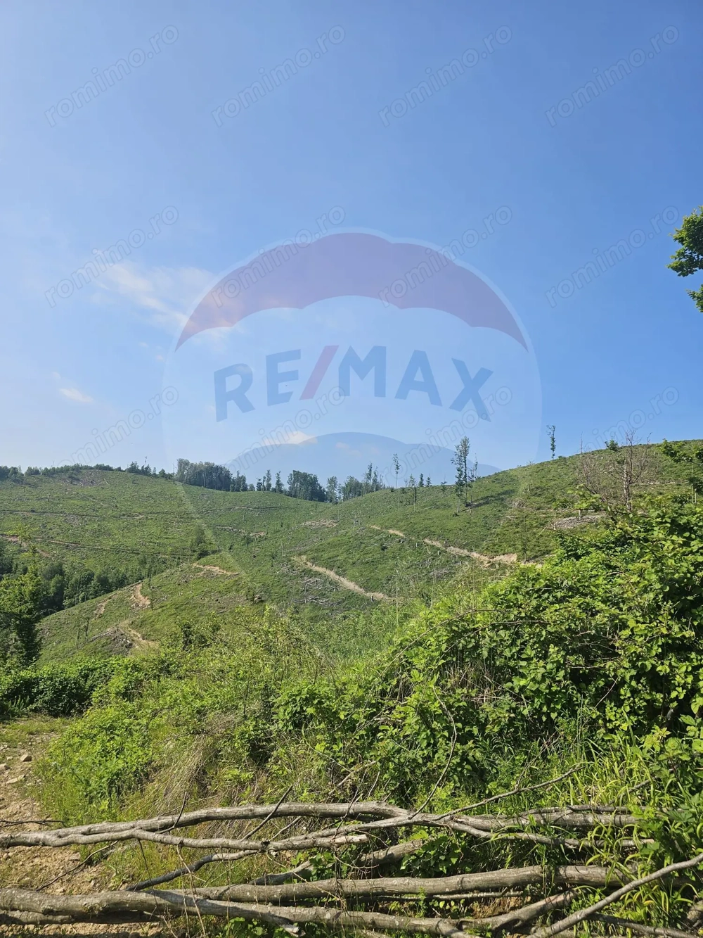 Pasune 21 ha pretabila pentru panouri fotovoltaice,impadurit