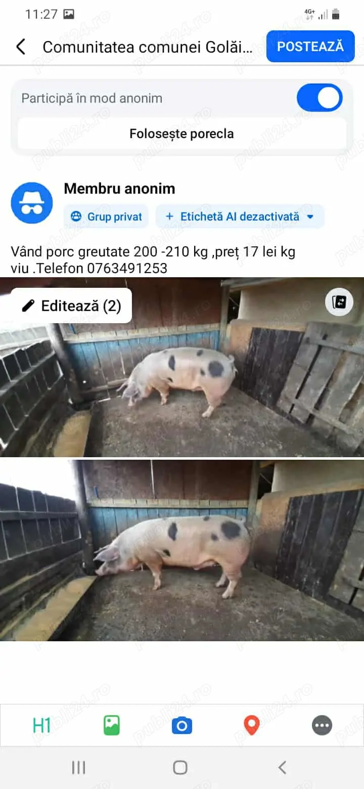Porc de vânzare 