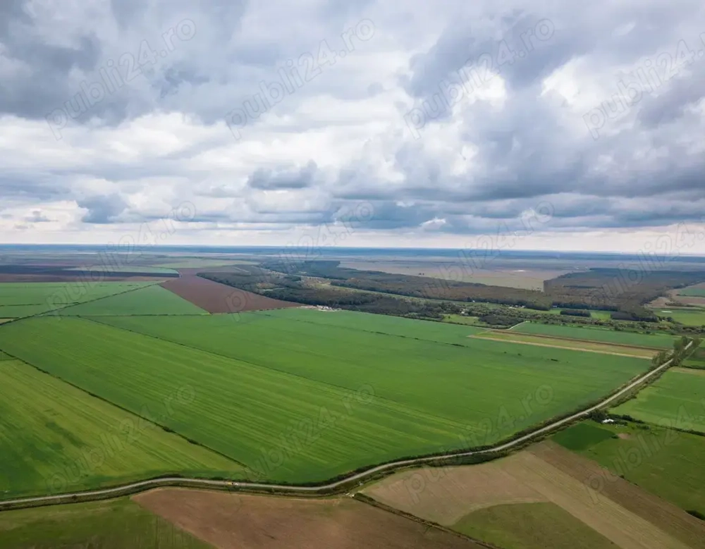 Vand parcele de teren agricol comuna Rieni, Sudrigiu, jud. Bihor