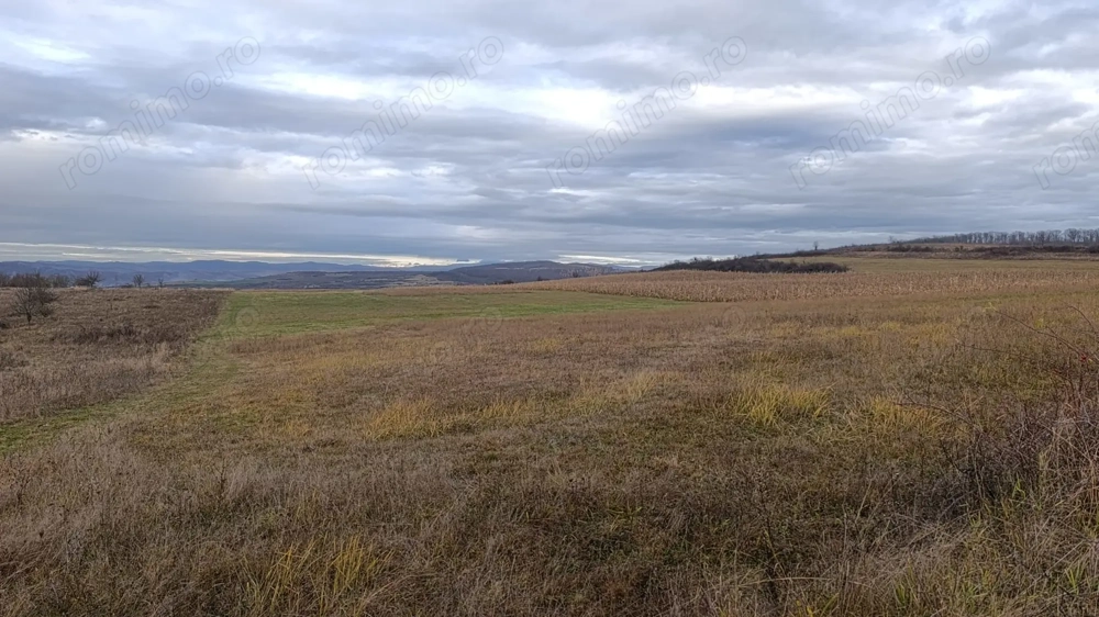 Teren agricol extravilan 2 ha in comuna Saschiz Mures