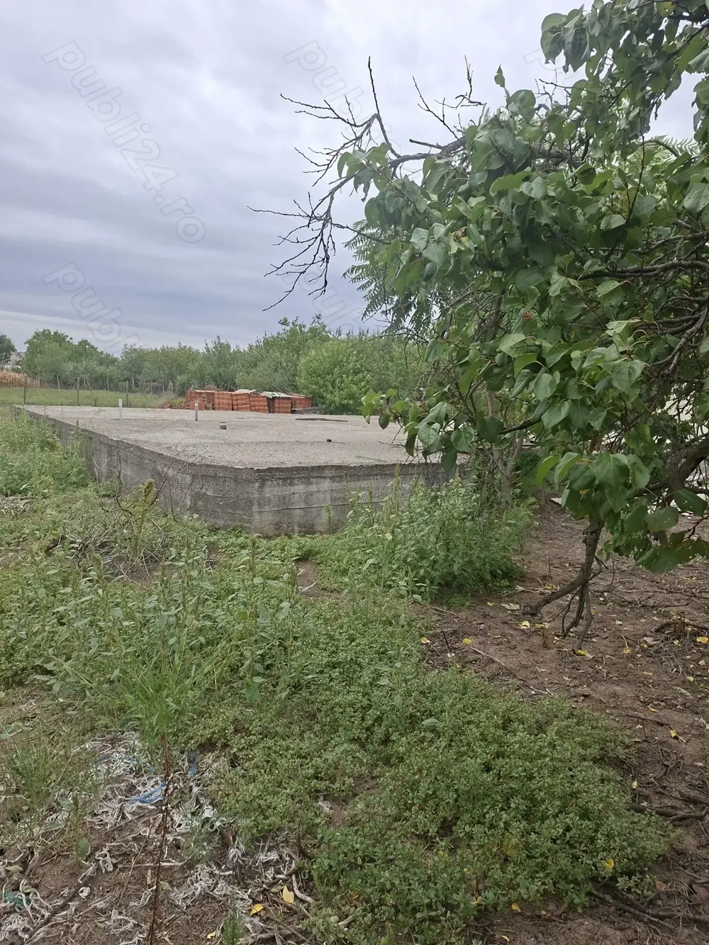 Teren cu fundatie Șiria