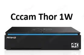 Linii stabile Cccam Thor 1w