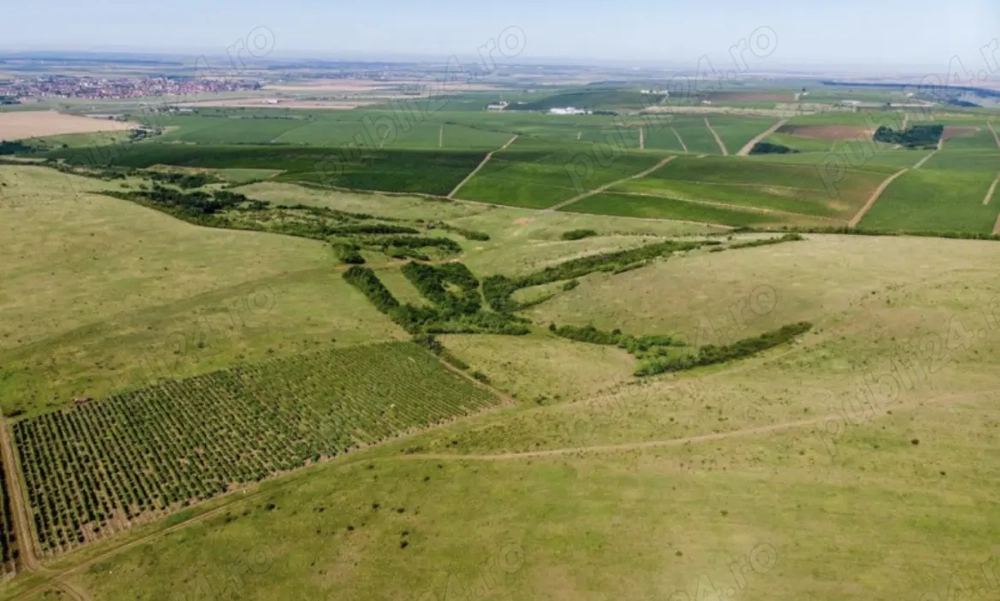 Anunț vânzare teren extravilan