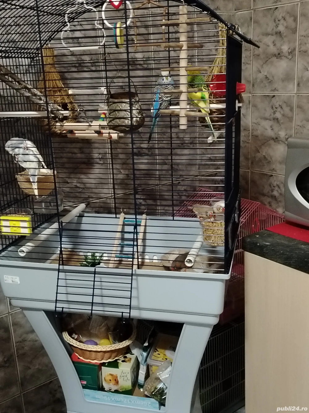 Vând cușcă papagali 