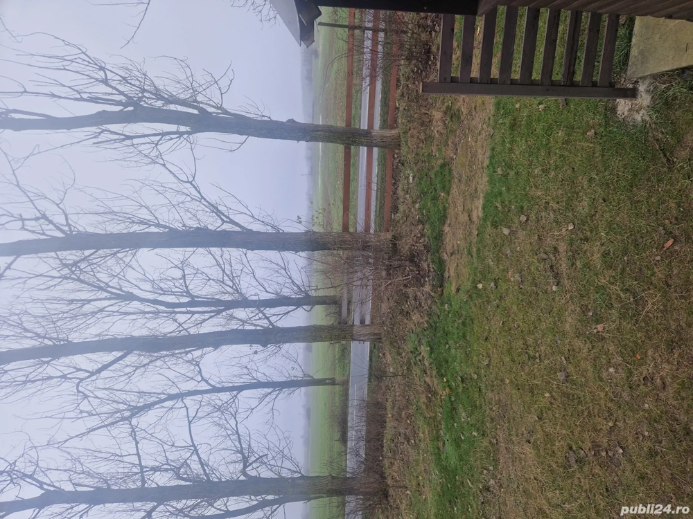 vand teren Gruiu Snagov