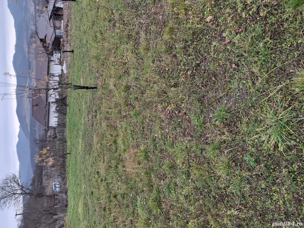 Vând teren intravilan 