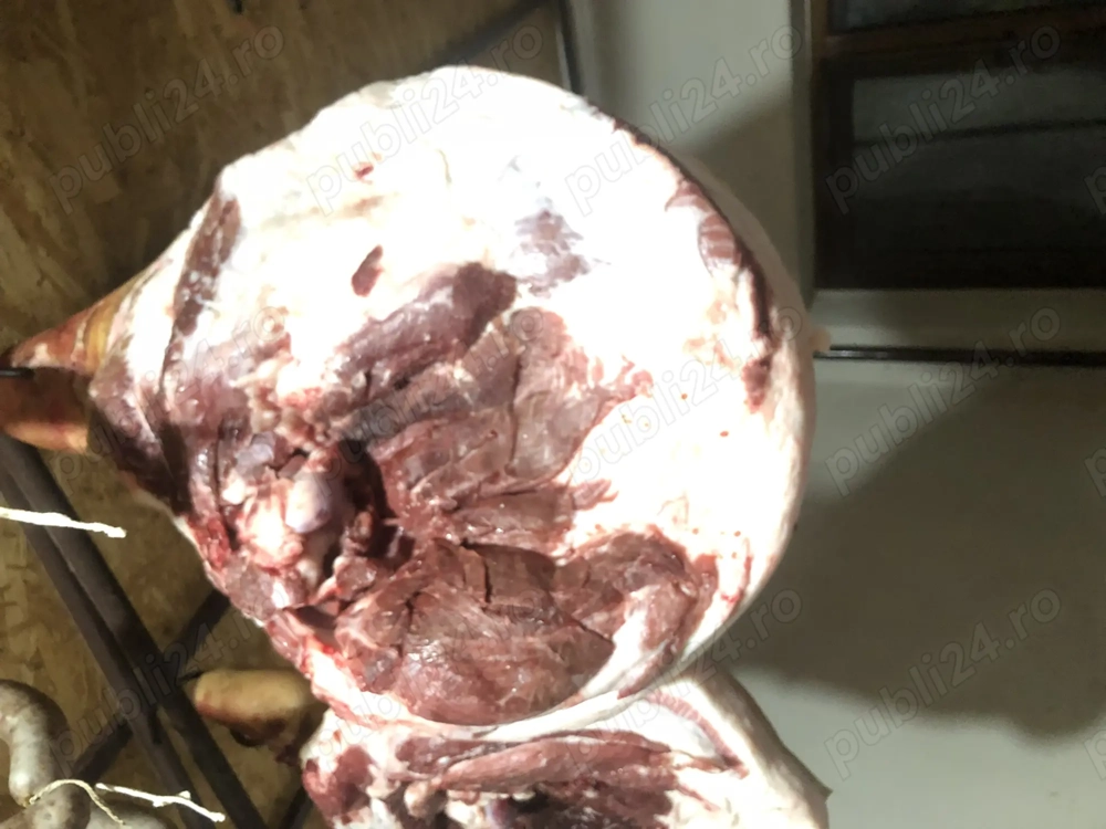 Sâmbătă 13 decembrie tai porc pentru vânzare 