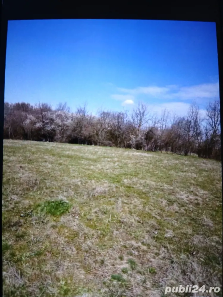 Vând teren intravilan com Mosoaia