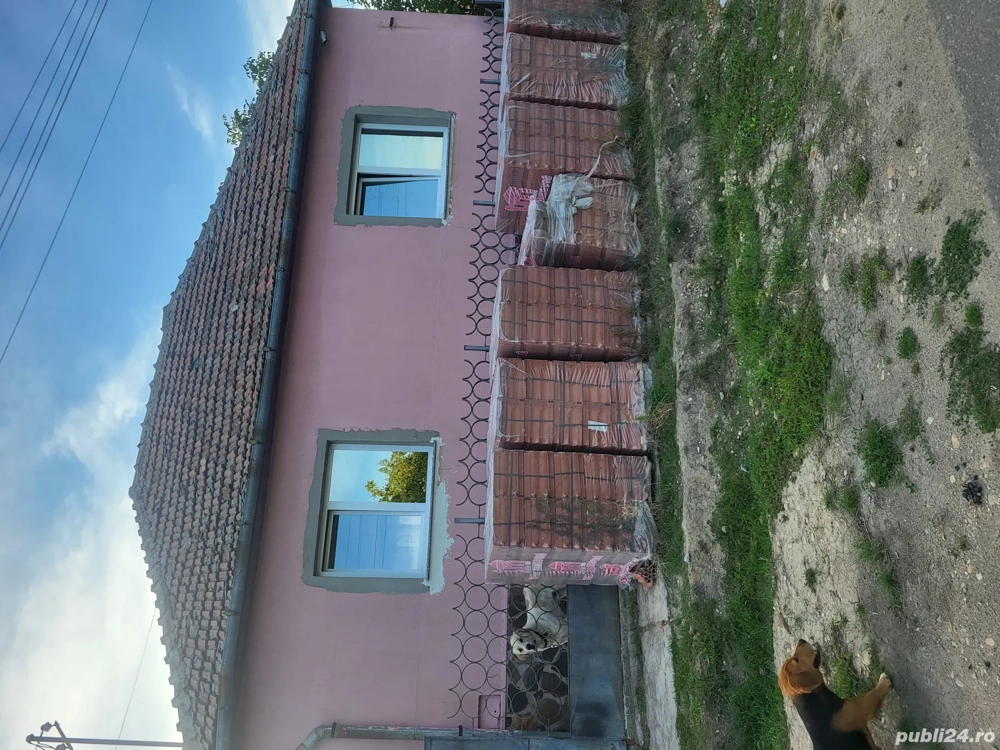 vand casa la tara