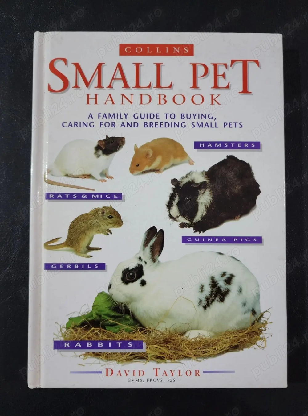 Carte despre animale de casa mici: iepuri, porcusori de Guinea, hamsteri, gerbil, soareci, sobolani