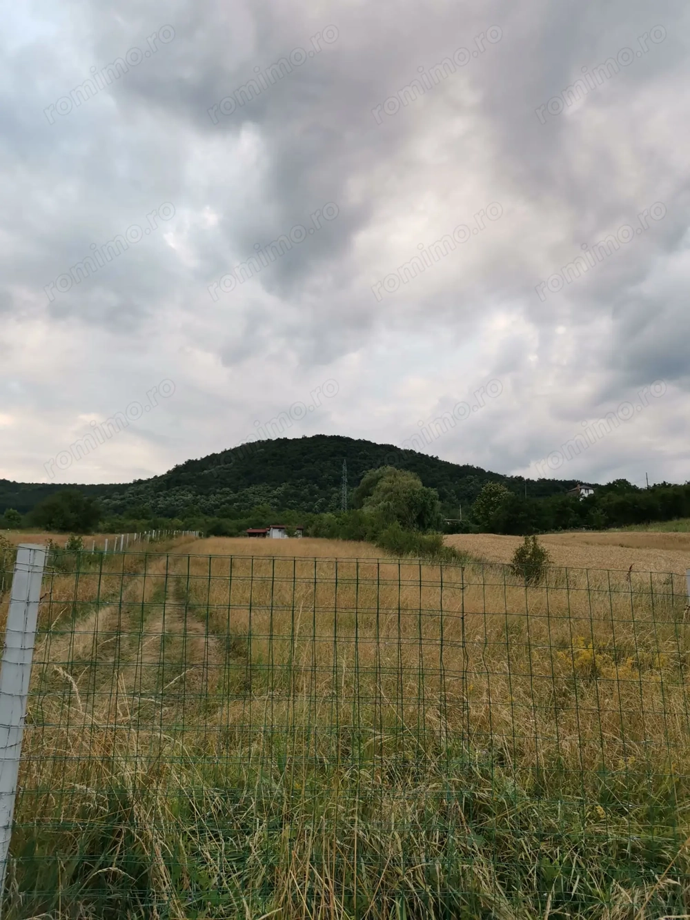 Teren intravilan 1.621 mp la intrare in Satul Almasu Sec din Comuna Carjiti, Jud. Hunedoara. 