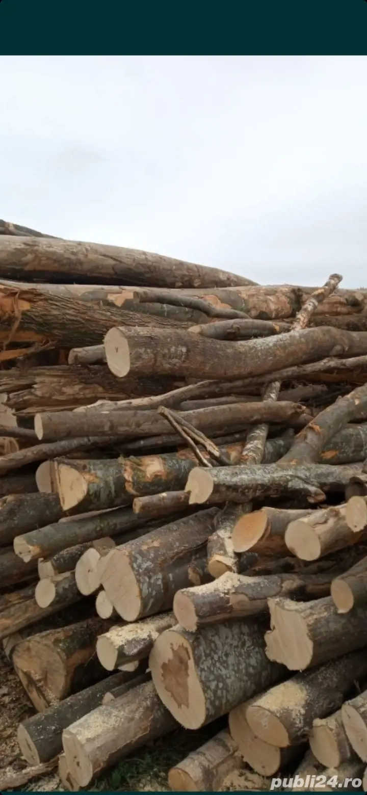 aducem la comanda lemne de foc 