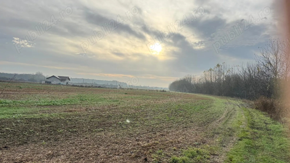 Teren intravilan, Teghes, Ilfov, lângă pădure și A0