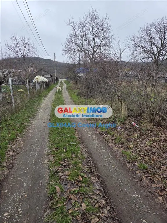 Vindem teren intravilan 1000 mp in Calinesti , dubla deschidere