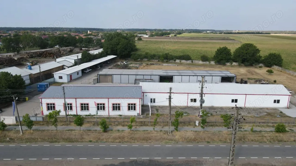 Hale depozitare/producție 2.000 mp si 10.000 mp teren în Pecica