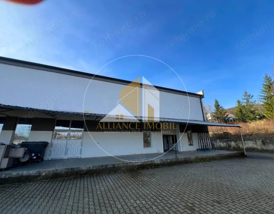 Spațiu industrial cu utilizare mixtă(producție ,depozit, birouri) – de închiriat