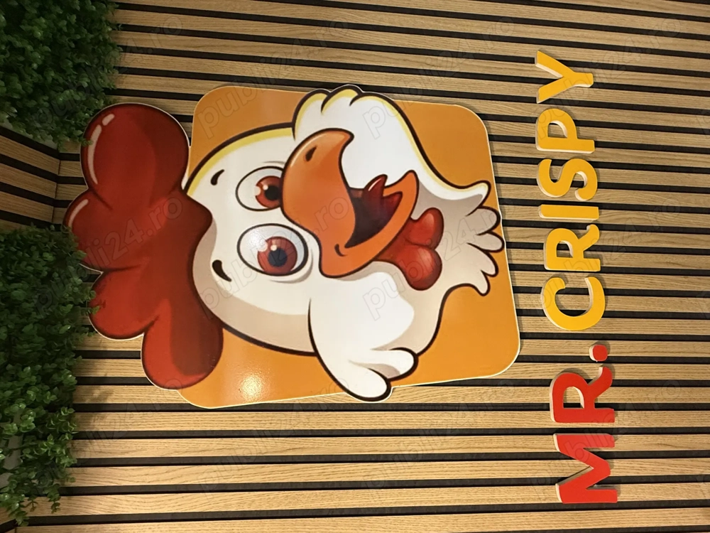 Ajutor bucătar  Preparator 