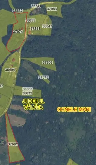 Teren intravilan 5.635 mp + casă bătrânească, utilități, Ocnele Mari