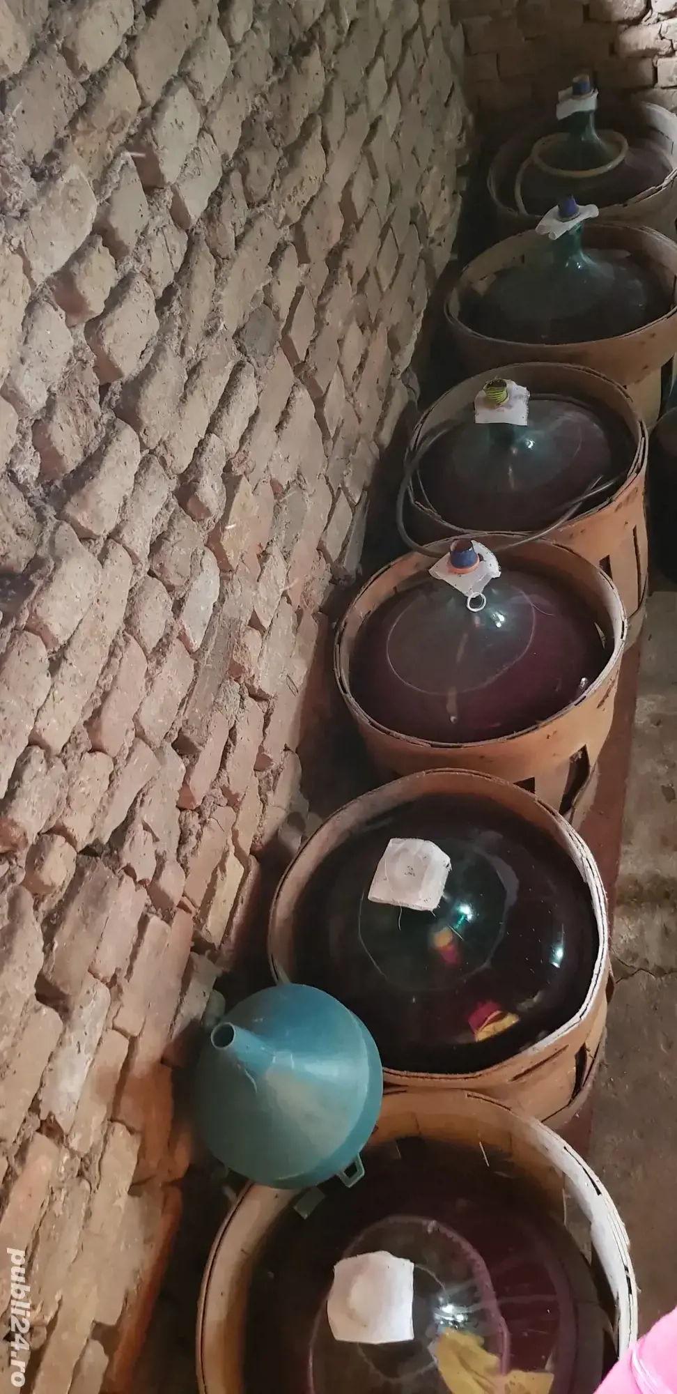 Vin de Casă(com Șandra,Timis)