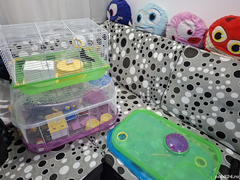 Vand 2 custi hamsteri