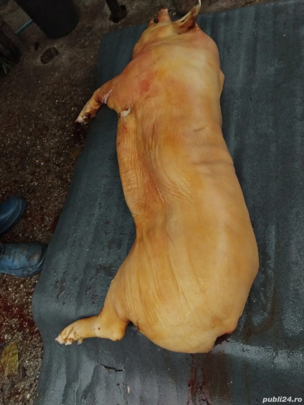 se vinde porc tăiat jumate sau sfert 